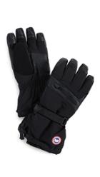 Canada Goose Norther Liner Gloves