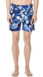 Polo Ralph Lauren Indigo Orchid Monaco Trunks