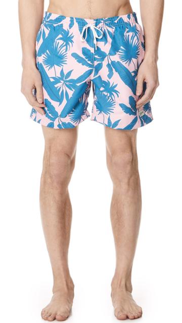 Bather Tropical Palms Swim Trunks