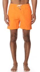 Solid Striped The Classic Neon Orange Trunk