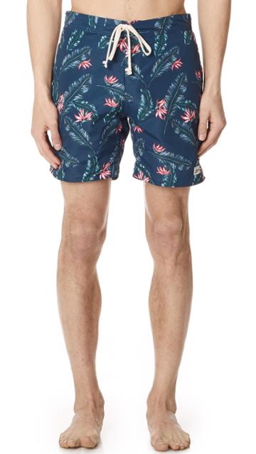 Bather Birds Of Paradise Surf Trunks