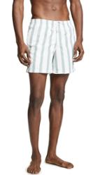 Bather Green Stripe Swim Trunks