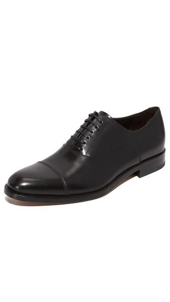 Salvatore Ferragamo Guru Cap Toe Lace Up Shoes