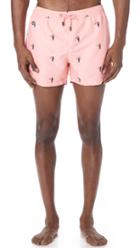 Nikben Toucan Trunks