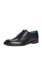 Ted Baker Asonce Wingtip Lace Up Shoes