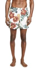 Bather Daytime Bouquet Print Swim Shorts