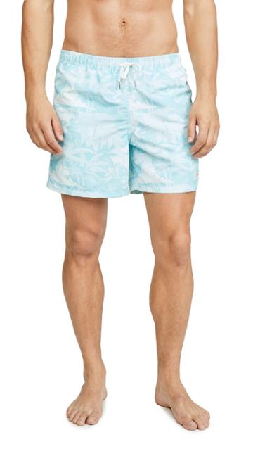 Bather Hawaiian Palms Trunks