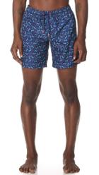 Sundek Elements Print Board Shorts