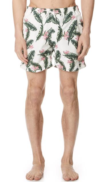 Bather Birds Of Paradise Swim Trunks