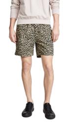 Obey Easy Leopard Shorts