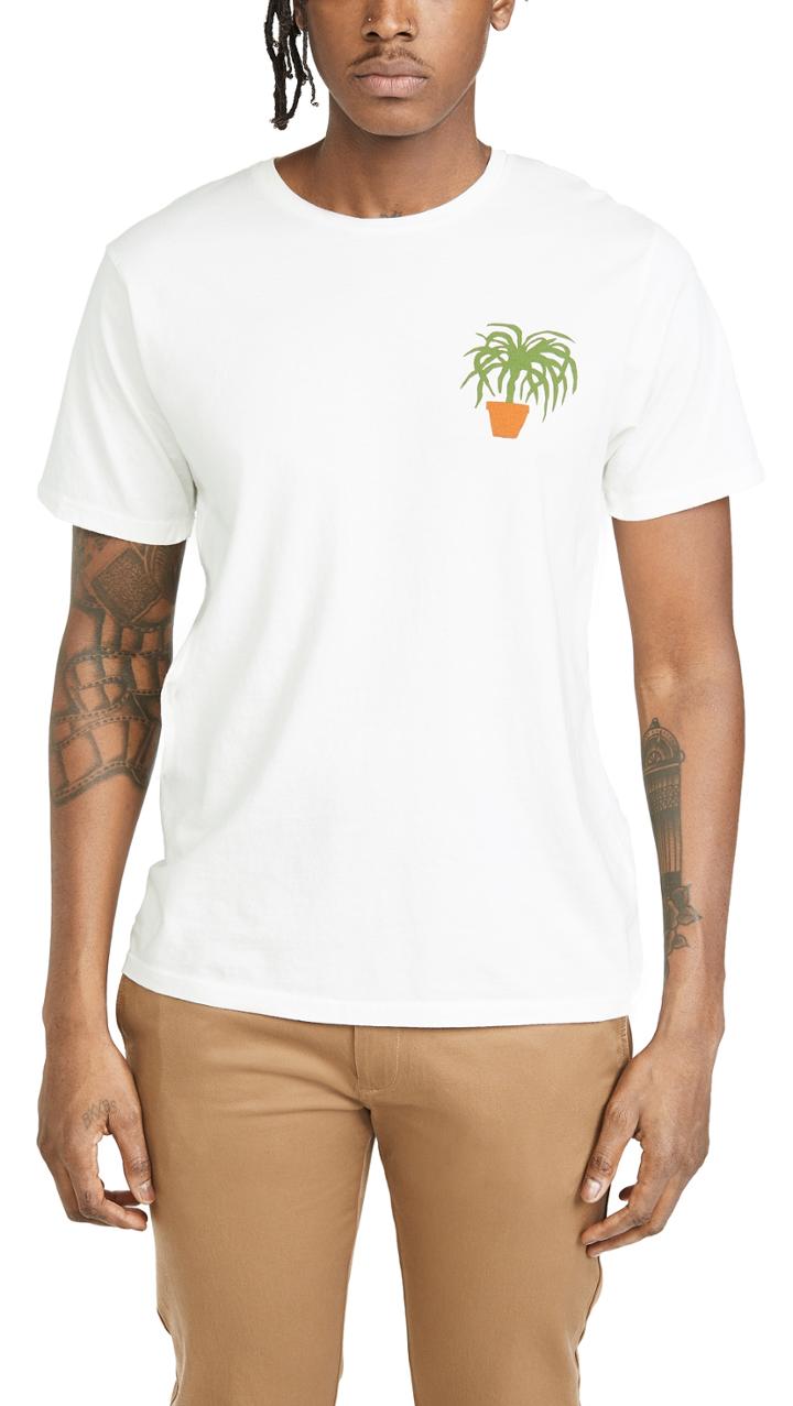 Mollusk Greenhouse Tee