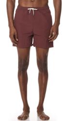 Solid Striped The Classic Burgundy Trunks