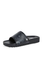 Mcm Visetos Slides