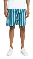 The Silted Company Aqua Coffin Shorts