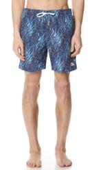 Bather Blue Coral Swim Trunks