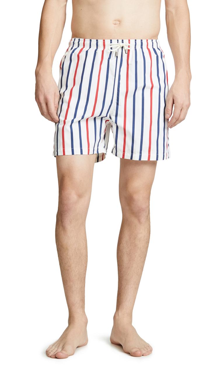 Solid Striped The Classic Venice Stripe Swim Trunks
