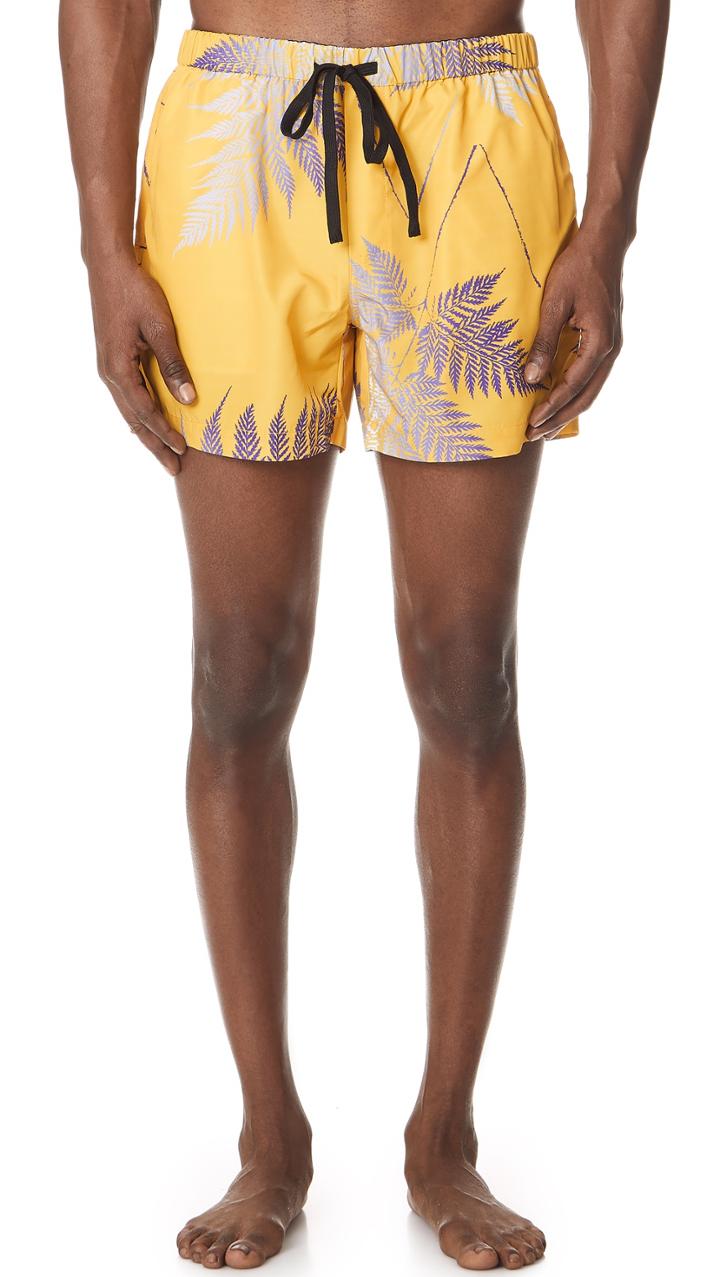 Double Rainbouu Gold Class Swim Trunks