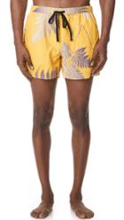 Double Rainbouu Gold Class Swim Trunks