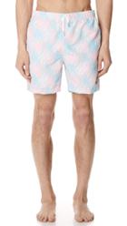 Bather Multi Coral Swim Trunks