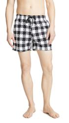 Solid Striped The Classic Gingham Swim Trunks