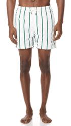 Solid Striped The Classic Bondi Stripe Trunks