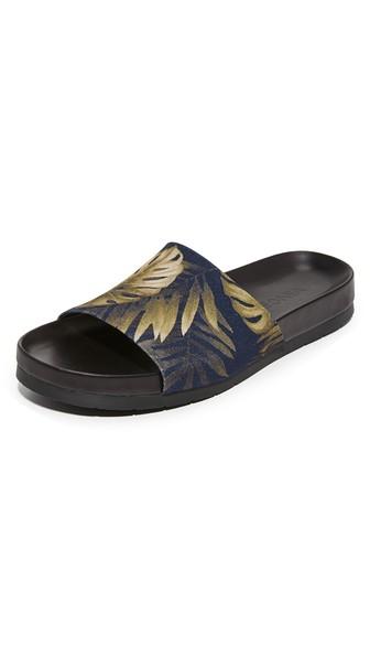 Vince Wasco Printed Palm Slides