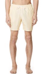 Lacoste Striped Swim Shorts