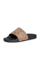 Coach New York Signature Coated Canvas Pool Slide Sandals
