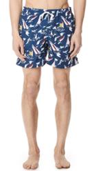 Bather Sail Swim Trunks