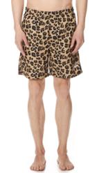 Stussy Leopard Swim Trunks