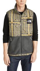 The North Face M Denalii Fleece Vest