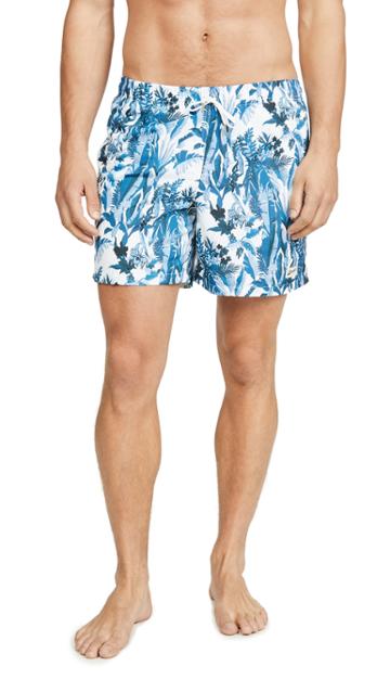 Bather Tropical Foliage Trunks