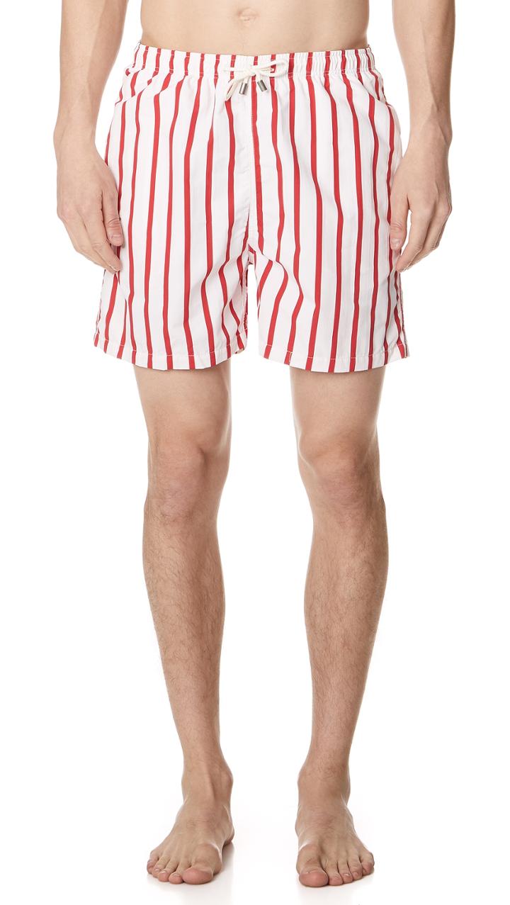 Solid Striped The Classic Venice Striped Trunks