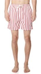 Solid Striped The Classic Venice Striped Trunks