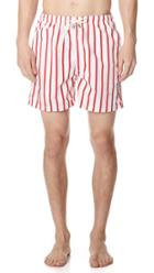 Solid Striped The Classic Venice Striped Trunks