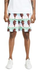 The Silted Company Palm Coffin Shorts
