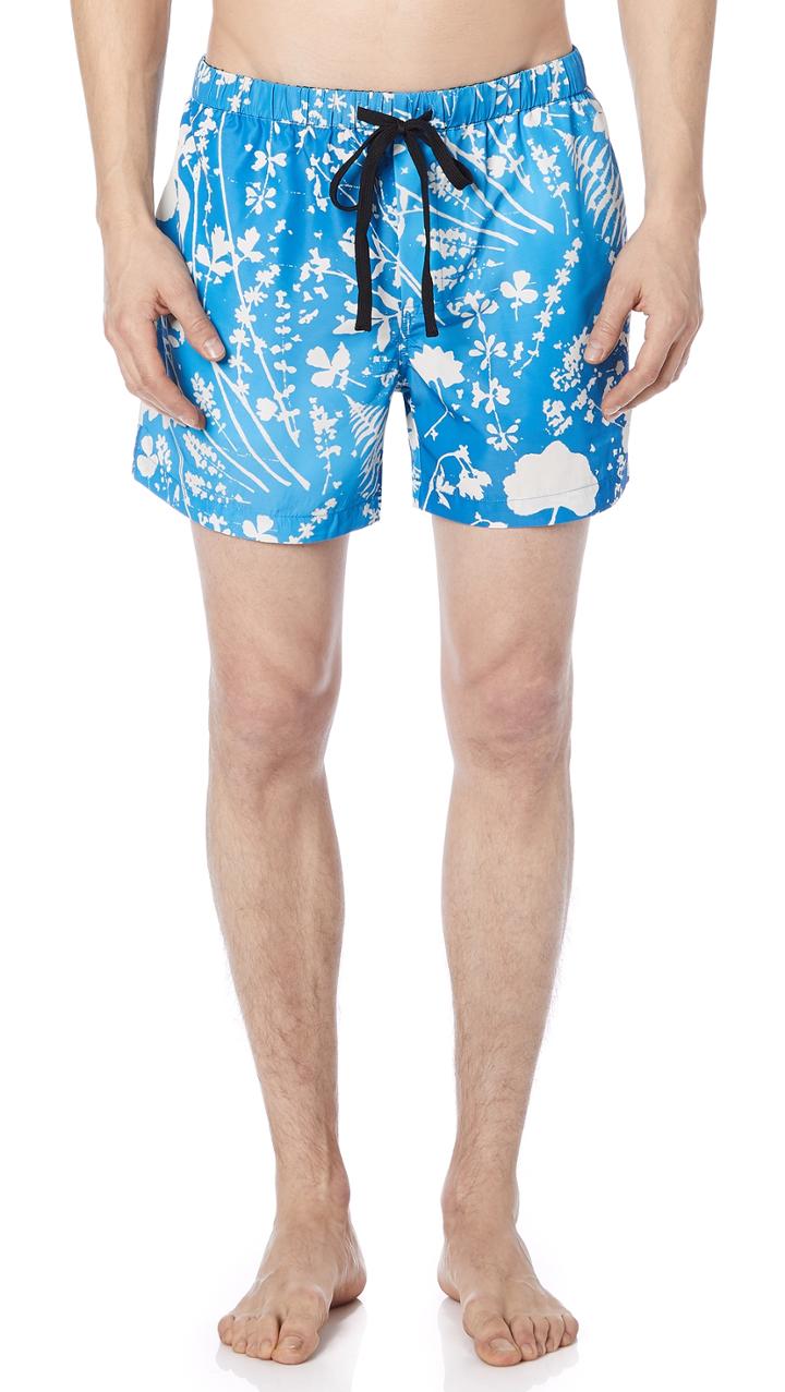 Double Rainbouu Dream Fields Night Swim Shorts