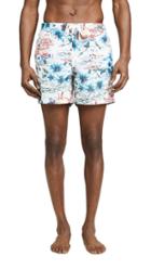 Bather Daytime Hawaii Print Swim Trunks