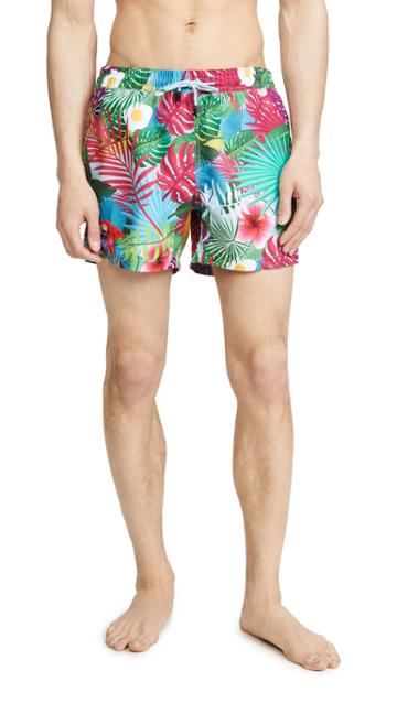 Nikben Eggstravaganza Swim Trunks