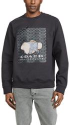Coach 1941 Disney Dumbo Sweatshirt