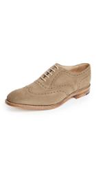 Loake L1 Tarantula Oxford Shoes