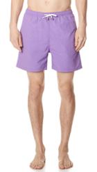 Solid Striped The Classic Purple Trunks