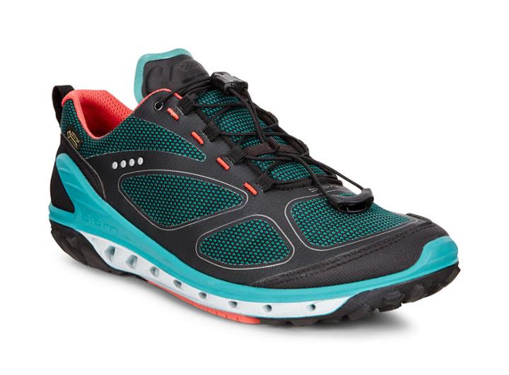 Ecco Women's W Biom Venture Gtx Shoes Size 37
