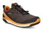 Ecco Men's Biom Venture Gtx Shoes Size 10/10.5