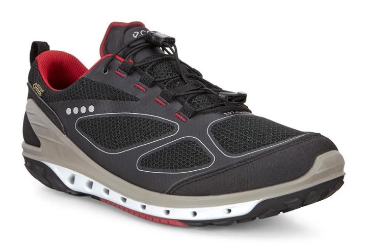Ecco Men's Biom Venture Gtx Shoes Size 8/8.5