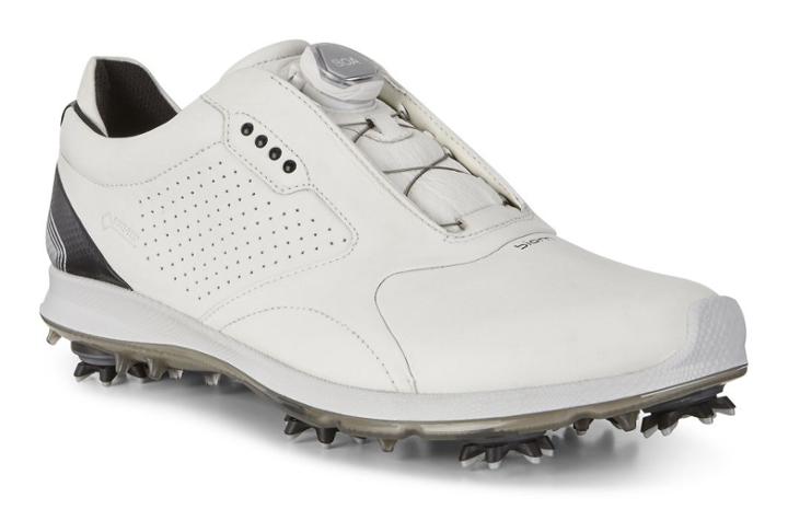Ecco Ecco Mens Biom G 2 Boa Gtx