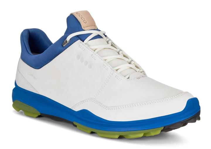 Ecco Men's Biom Hybrid 3 Gtx Shoes Size 8/8.5
