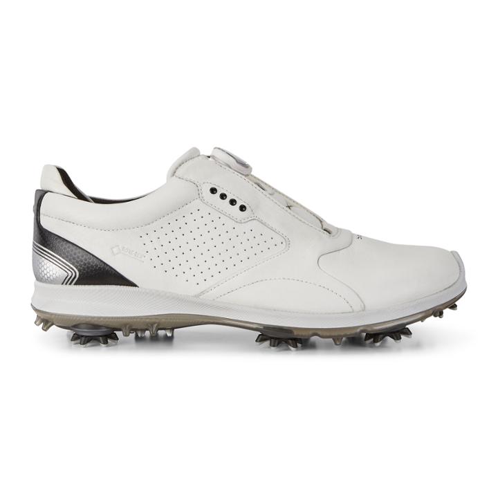 Ecco Mens Biom G 2 Boa Gtx