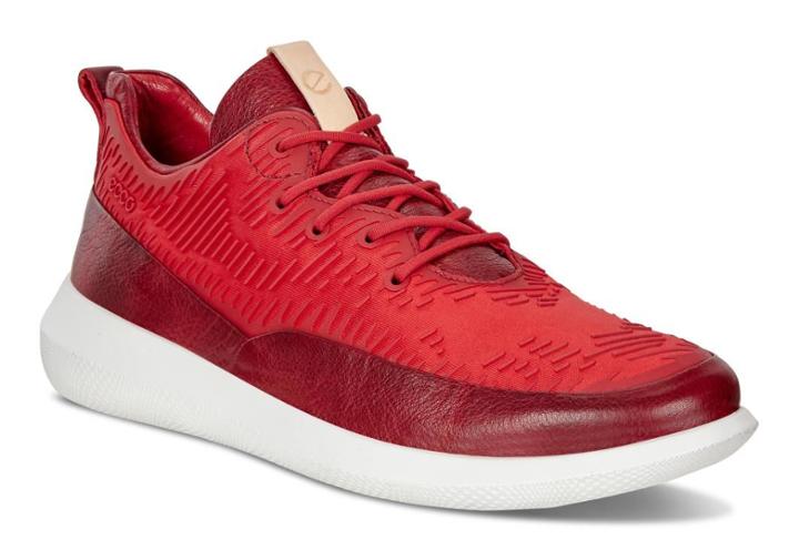 Ecco Women's Scinapse Sneaker Shoes Size 4/4.5