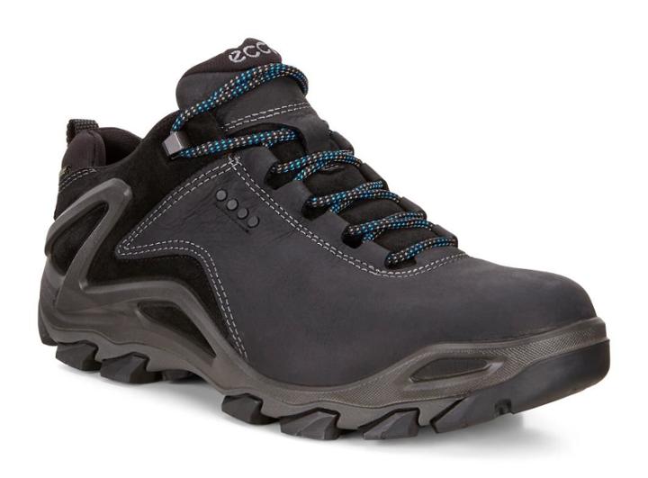 Ecco Ecco Terra Evo Outdoor Shoe
